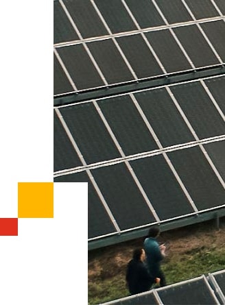 Two colleagues walk among a field of solar panels